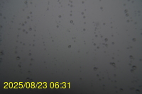 Img20250823_063124.jpg