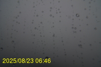 Img20250823_064624.jpg