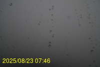 Img20250823_074624.jpg