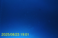 Img20250823_190125.jpg