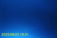 Img20250823_193125.jpg
