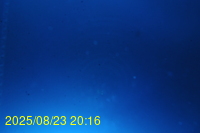 Img20250823_201625.jpg