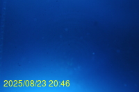Img20250823_204625.jpg