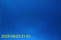 Img20250823_210125.jpg