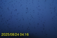 Img20250824_041626.jpg