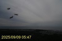 Img20250909_054714.jpg