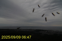 Img20250909_064714.jpg