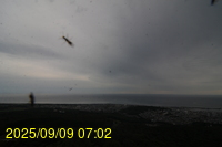 Img20250909_070214.jpg