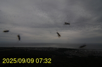 Img20250909_073214.jpg