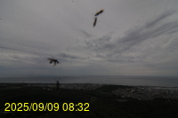 Img20250909_083214.jpg