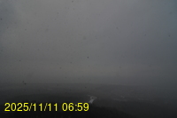 Img20251111_065905.jpg