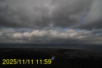 Img20251111_115906.jpg