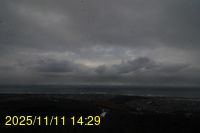 Img20251111_142906.jpg