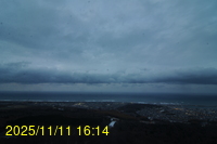 Img20251111_161406.jpg