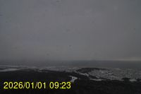 Img20260101_092338.jpg