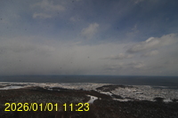 Img20260101_112338.jpg