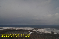 Img20260101_115338.jpg