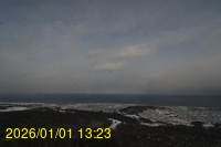 Img20260101_132339.jpg