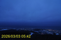 Img20260303_054241.jpg
