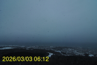 Img20260303_061241.jpg
