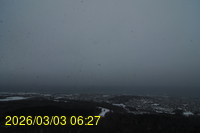 Img20260303_062741.jpg