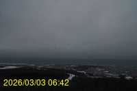 Img20260303_064241.jpg