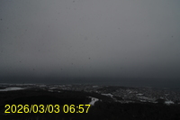 Img20260303_065741.jpg