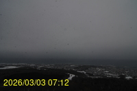 Img20260303_071241.jpg