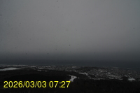 Img20260303_072741.jpg