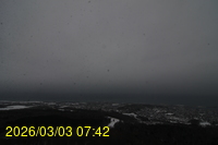 Img20260303_074241.jpg