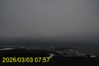 Img20260303_075741.jpg