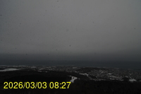 Img20260303_082741.jpg