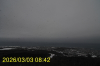 Img20260303_084241.jpg