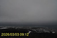 Img20260303_091242.jpg