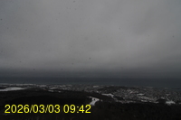 Img20260303_094242.jpg