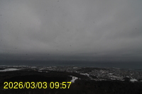 Img20260303_095742.jpg