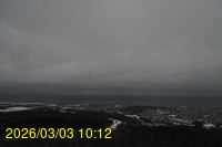 Img20260303_101242.jpg