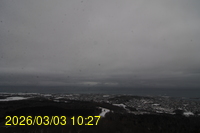 Img20260303_102742.jpg