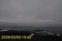 Img20260303_104242.jpg