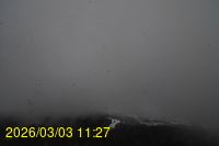 Img20260303_112742.jpg