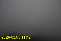 Img20260303_114242.jpg