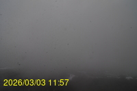 Img20260303_115742.jpg