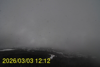 Img20260303_121242.jpg