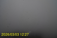 Img20260303_122742.jpg