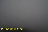 Img20260303_124242.jpg
