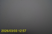 Img20260303_125742.jpg