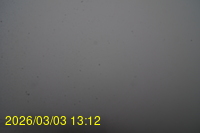 Img20260303_131242.jpg
