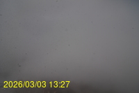 Img20260303_132742.jpg