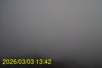 Img20260303_134242.jpg