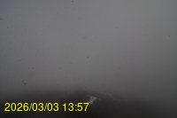 Img20260303_135742.jpg